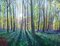 Morning Bluebells, Landscape Painting 3