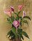 Pink Calla Lilies, Still Life Oil Painting 2