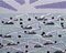 Walsche, Lilac Swimmers, 2015 1
