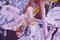Guardian Sista, Pittura neoespressionista in acrilico, 2020, Immagine 5