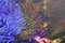 Rhythmic Forces Dynamic, Contemporary Surreal Painting, 2020, Imagen 3