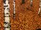 Goldene Birken, große zeitgenössische Landschaftsmalerei, 2020 3
