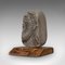 Fossiles ornamentales historisches Ammonit Geologie Ornament mit Eichenholz Fuß 3