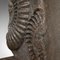 Ornamento decorativo vintage in ammonite fossile con base in quercia, Immagine 11