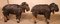 Scottish Rams in Polychrome Wood, 19th Century, Set of 2 5