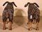 Scottish Rams in Polychrome Wood, 19th Century, Set of 2 3