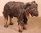 Scottish Rams in Polychrome Wood, 19th Century, Set of 2 13