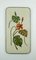 Large Ceramic Plaster Wall Plaque with Floral Design & Iron Rim from Krösselbach, 1950s 1