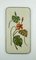 Large Ceramic Plaster Wall Plaque with Floral Design & Iron Rim from Krösselbach, 1950s, Image 1