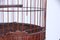 Vintage Wooden & Handcrafted Iron Cage 14
