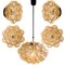Amber Glass Pendant Lights by Helena Tynell for Cor, 1960s, Set of 6 2