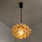 Amber Glass Pendant Lights by Helena Tynell for Cor, 1960s, Set of 6 16