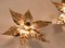 Willy Daro Style Brass Flowers Wall Lights, Set of 5 7