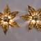 Willy Daro Style Brass Flowers Wall Lights, Set of 5 8