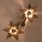 Willy Daro Style Brass Flowers Wall Lights, Set of 5, Image 16