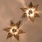 Willy Daro Style Brass Flowers Wall Lights, Set of 5 3