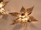 Willy Daro Style Brass Flowers Wall Lights, Set of 5 4