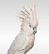 Porcelain Figure of a Cockatoo from Royal Dux 3