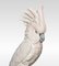 Porcelain Figure of a Cockatoo from Royal Dux, Image 3