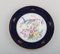 Rosenthal Porcelain Plates with Hand-Painted Flowers and Birds, Set of 10 2