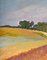 Paesaggio di campi in campagna, XX secolo, Immagine 3