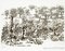 Leonardo Castellani - The Vineyard - Etching - 1960 1