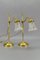 Lampes de Bureau Vintage en Laiton et en Verre Givré, Set de 2 3