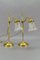 Vintage Brass & Frosted Glass Table Lamps, Set of 2 3