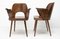 Bentwood Writing Desk Armchair by Radomír Hofman for Ton 15