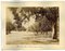 Desconocido, Vista antigua de Buenos Aires, Argentina, Foto, década de 1880. Juego de 2, Imagen 2