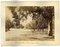 Unknown, Ancient View of Buenos Aires, Argentina, Photo, 1880s, Set of 2 2