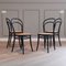 Chaises de Salon No. 14 par Michael Thonet pour Ligna, 1960s, Set de 4 3