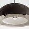 AJ Royal Pendant Lamp by Arne Jacobsen for Louis Poulsen, 1960s, Image 4