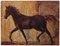 Horse - Gemälde - Öl auf Leinwand - Italien - Alfonso Pragliola 1