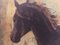 Cavallo - Pittura - Olio su tela, Italia - Alfonso Pragliola, Immagine 2
