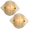 Murano Opal Clear Glass Sconces or Wall Lights from Kalmar, 1970s, Set of 2, Image 1
