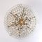 Large Ballroom Chandeliers from Doria, Set of 2 7