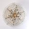 Large Ballroom Chandeliers from Doria, Set of 2, Image 7