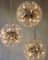 Starburst Flower Wall Lights and Chandeliers by Together, Set of 5 3