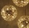 Starburst Flower Wall Lights and Chandeliers by Together, Set of 5, Image 5