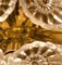 Starburst Flower Wall Lights and Chandeliers by Together, Set of 5, Image 8