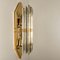 Large Venini Style Murano Glass and Gilt Brass Sconce, Italy 7