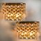 Gilded Brass and Crystal Glass Wall Sconces from Palwa, Germany, 1960s, Set of 2 2