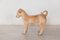 Ceramic Lifesize Wagging Dog, 1980s, Belgium, Image 7