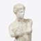Estatua de jardín Venus De Milo, siglo XX, Imagen 7