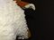 Sgabello in pelle di pecora, anni '80, Immagine 7