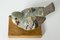 Stoneware Bird Figurine by Tyra Lundgren for Gustavsberg 6