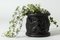 Cast Iron Flower Pot #1 by Anna Petrus, Image 8