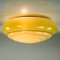 Art Deco Round Stepped Ceiling Lamp with Spray Decoration, 1930s 2