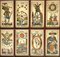 Framed Tarot Card Lithographs, Italy, 1950s, Set of 8 1